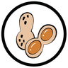 Arachidi